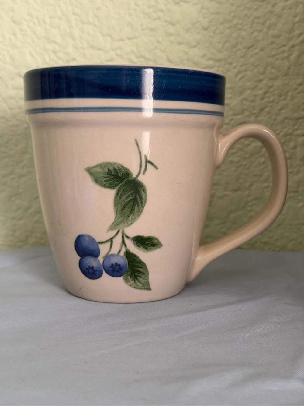 Cream Ceramic Mug with Blue Rim and Blueberry Design